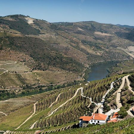 Hotel Quinta Da Gricha Ervedosa do Douro Zewnętrze zdjęcie