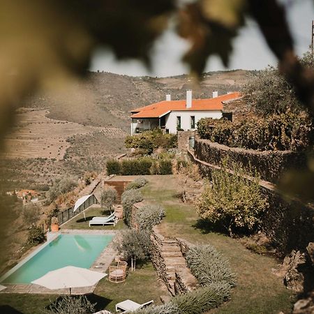 Hotel Quinta Da Gricha Ervedosa do Douro Zewnętrze zdjęcie