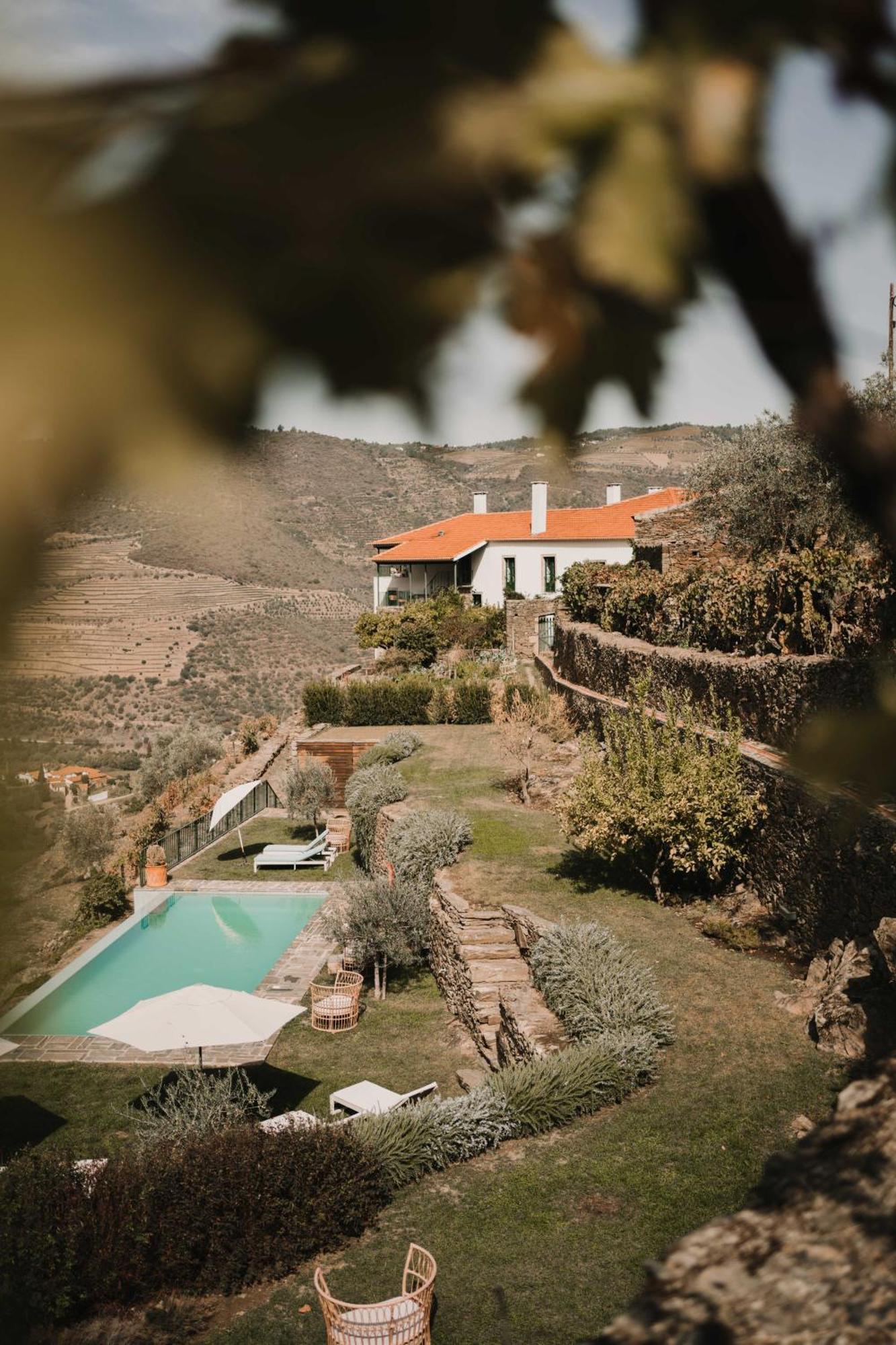 Hotel Quinta Da Gricha Ervedosa do Douro Zewnętrze zdjęcie
