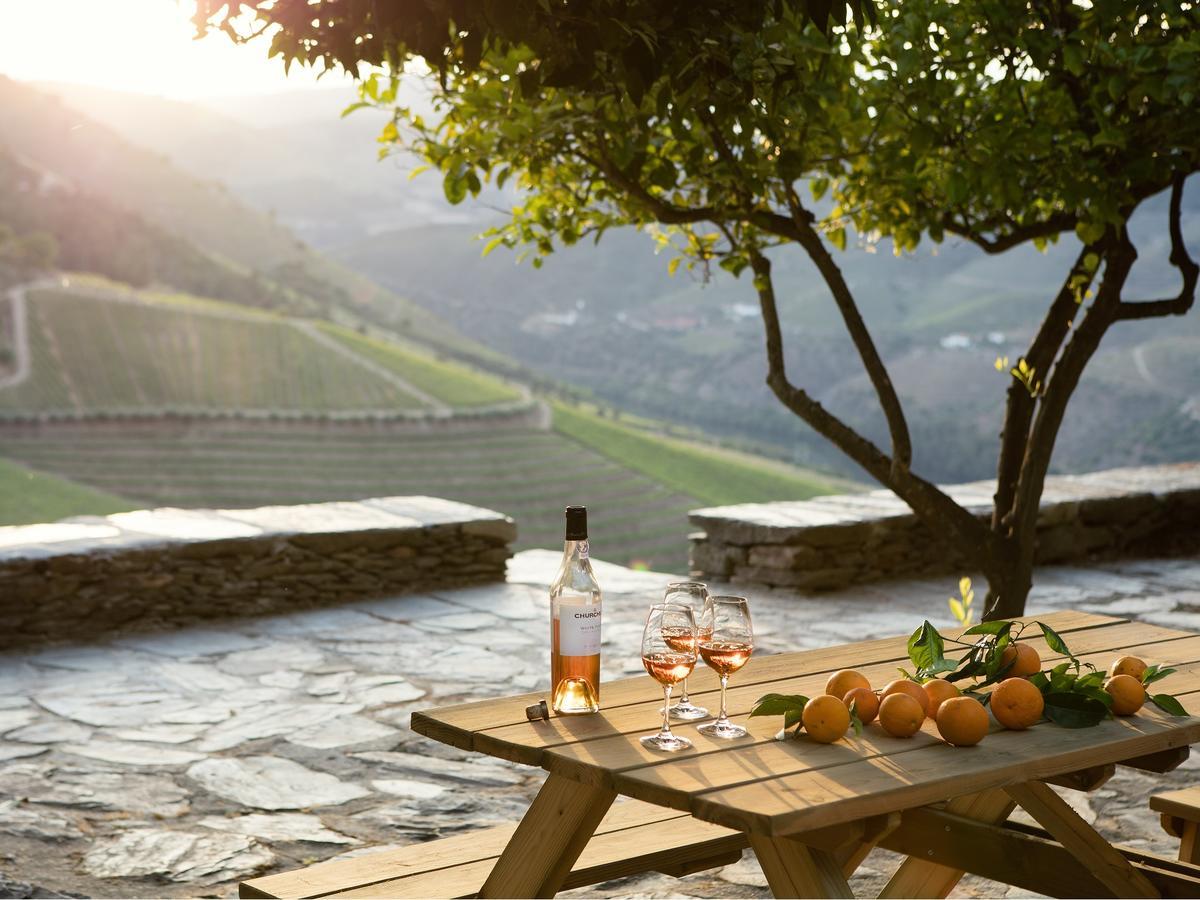 Hotel Quinta Da Gricha Ervedosa do Douro Zewnętrze zdjęcie