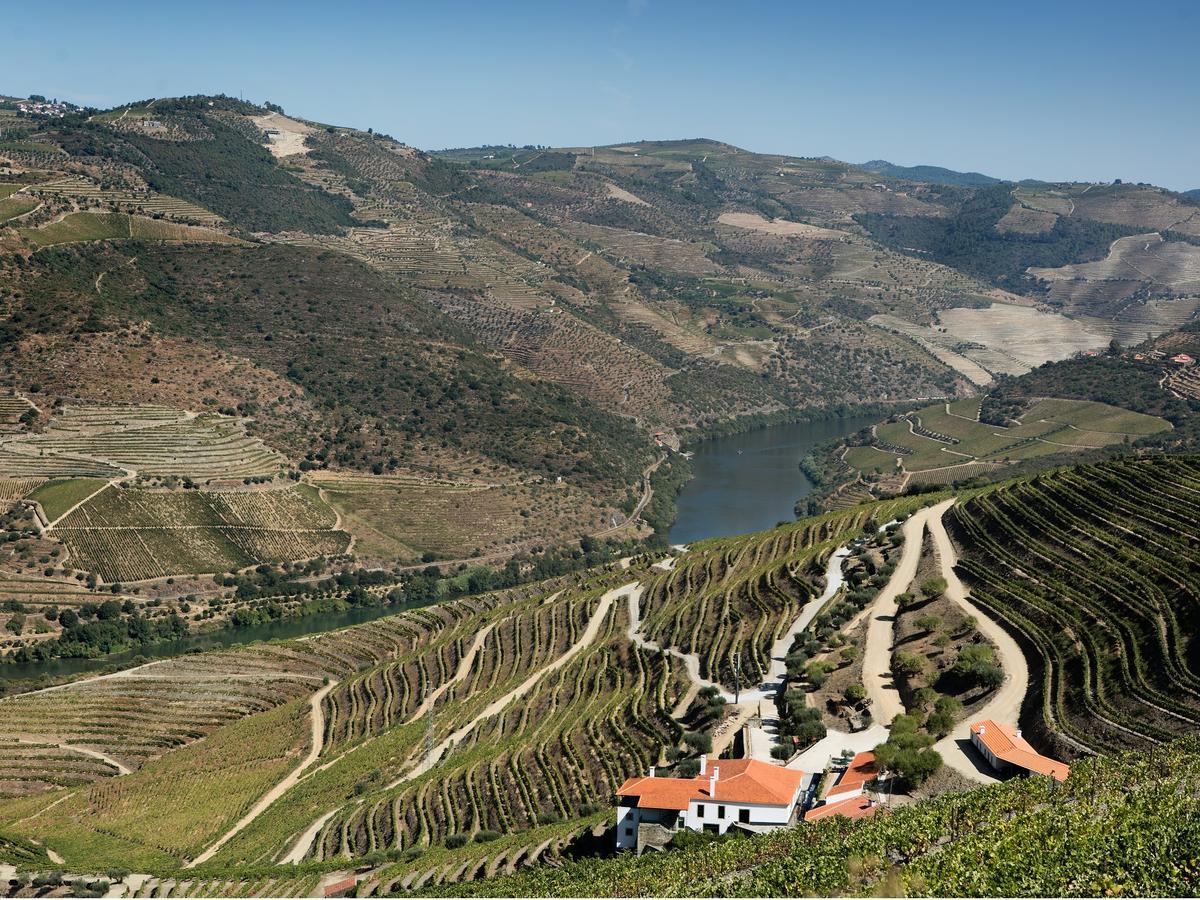 Hotel Quinta Da Gricha Ervedosa do Douro Zewnętrze zdjęcie
