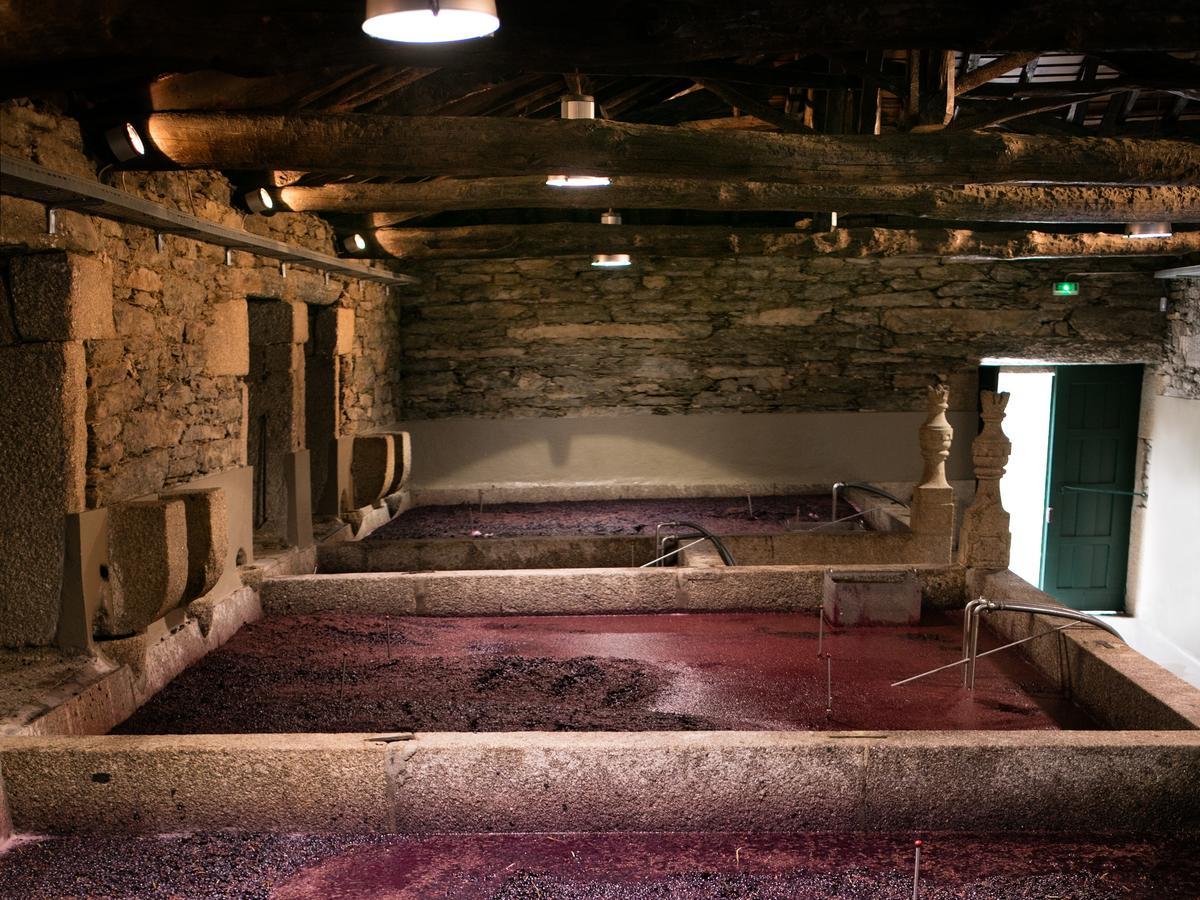 Hotel Quinta Da Gricha Ervedosa do Douro Zewnętrze zdjęcie