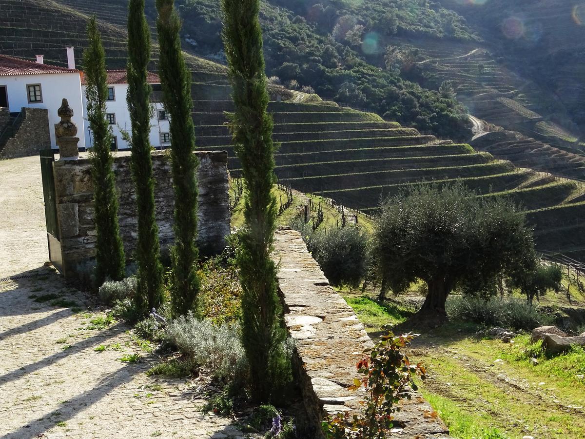 Hotel Quinta Da Gricha Ervedosa do Douro Zewnętrze zdjęcie