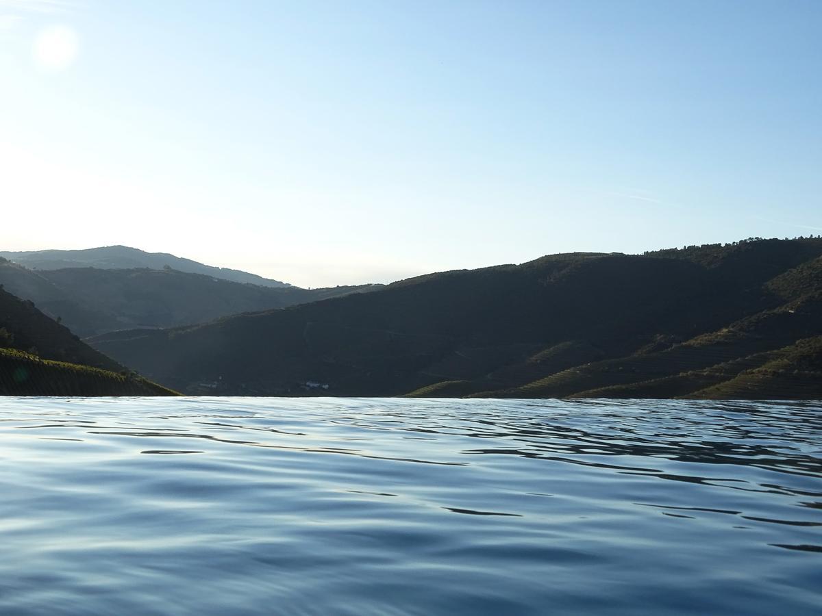 Hotel Quinta Da Gricha Ervedosa do Douro Zewnętrze zdjęcie