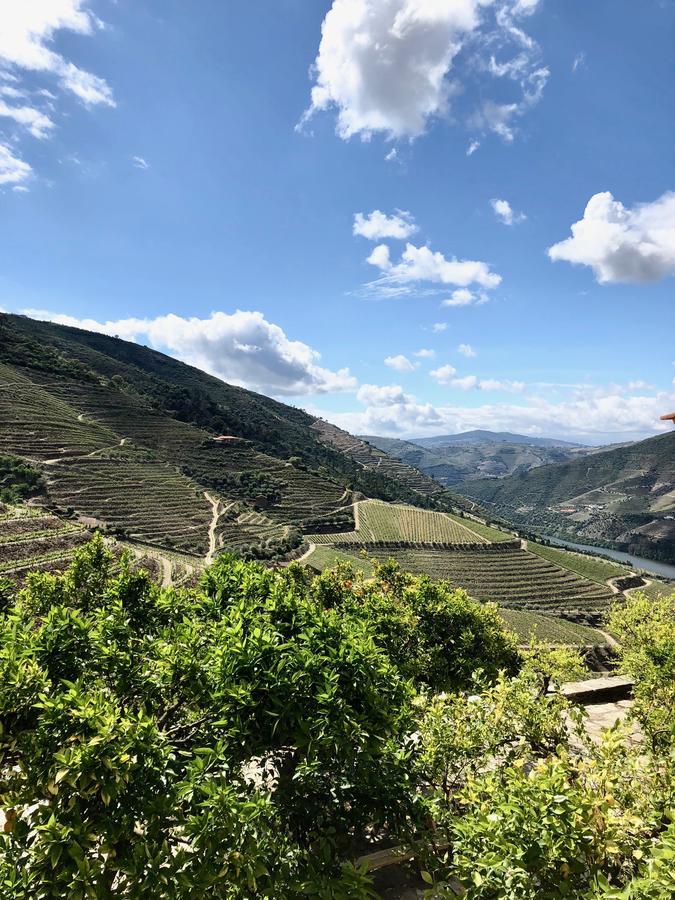 Hotel Quinta Da Gricha Ervedosa do Douro Zewnętrze zdjęcie