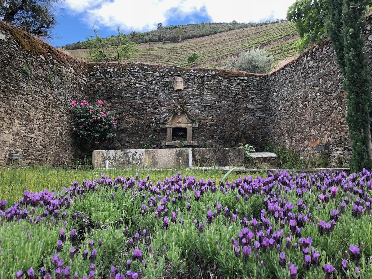 Hotel Quinta Da Gricha Ervedosa do Douro Zewnętrze zdjęcie