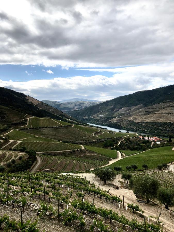 Hotel Quinta Da Gricha Ervedosa do Douro Zewnętrze zdjęcie