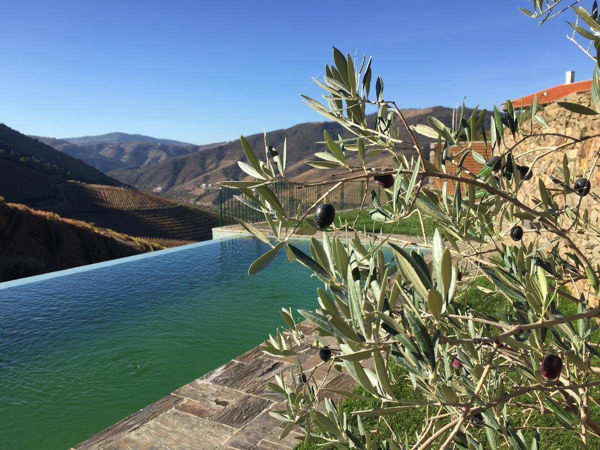 Hotel Quinta Da Gricha Ervedosa do Douro Zewnętrze zdjęcie